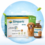 ChatGPT Image 26 de jan. de 2026, 11_21_40